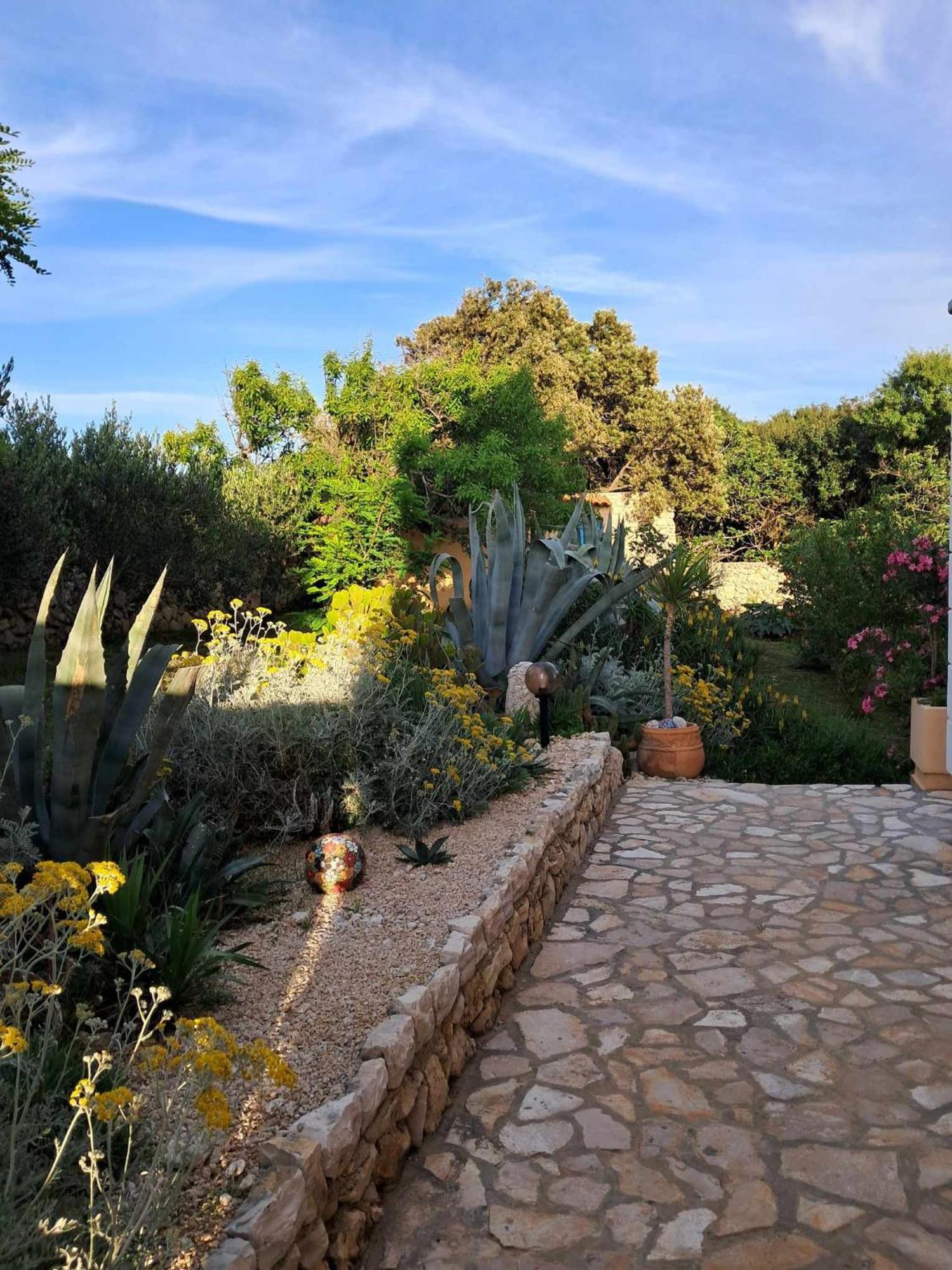 Villa Cesarica نوفاليا المظهر الخارجي الصورة