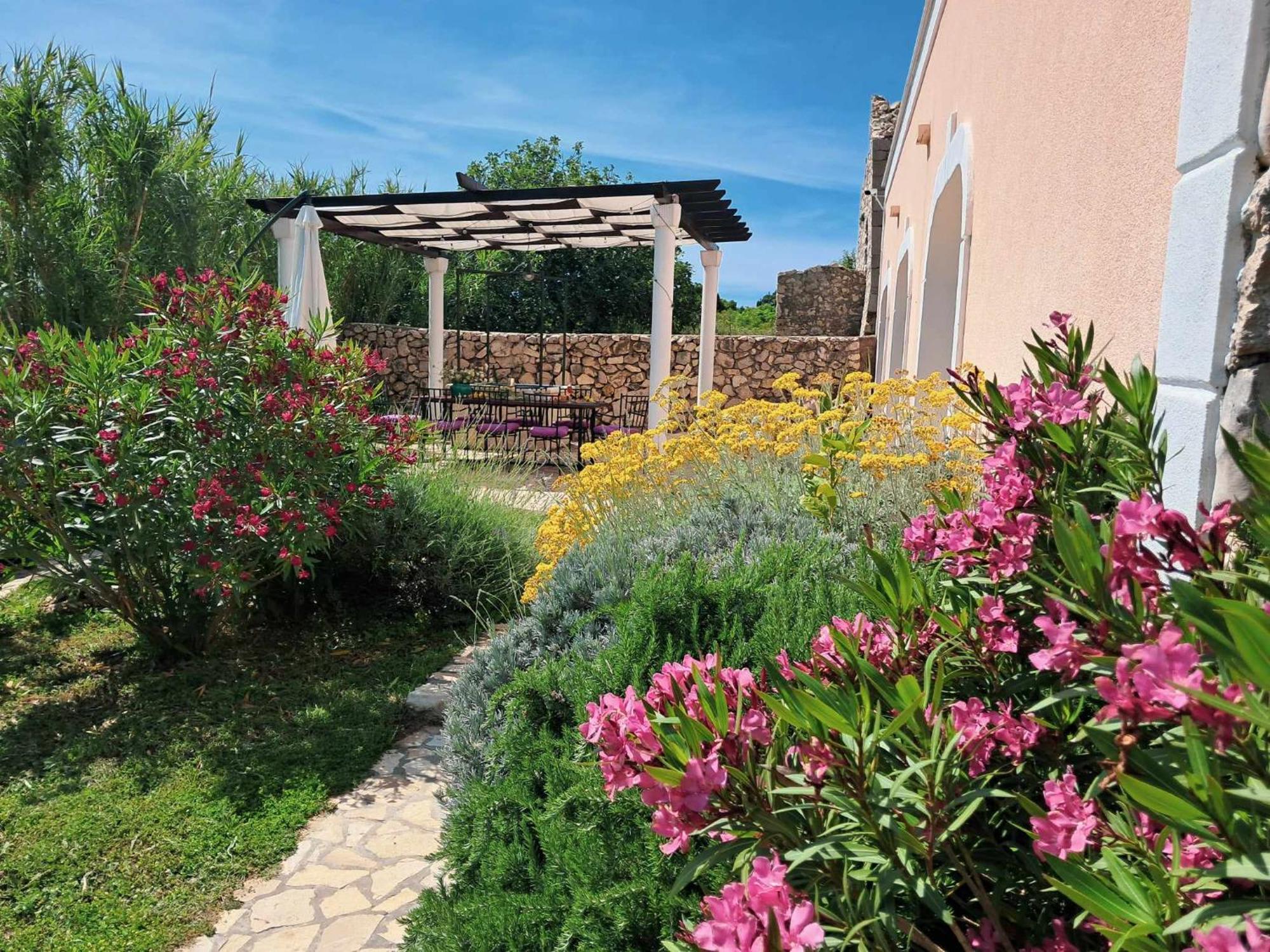 Villa Cesarica نوفاليا المظهر الخارجي الصورة
